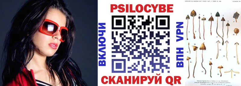 Галлюциногенные грибы Psilocybine cubensis  дарнет шоп  Петровск-Забайкальский 